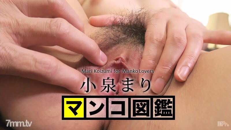 102215-001 หนังสือภาพ Pussy Mari Koizumi Mari Koizumi