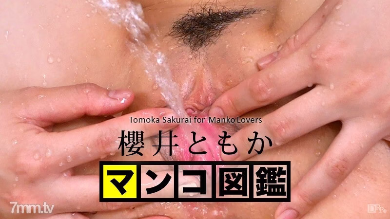 121515-001 สมุดภาพแมว Tomo Sakurai