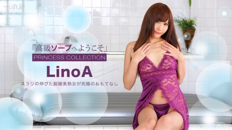 PONDO-111516_427 ยินดีต้อนรับสู่สบู่ LinoA สุดหรู
