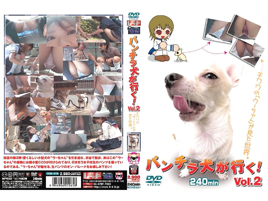 PUROD-072 หมาพันจิระมาแล้ว! Vol.2