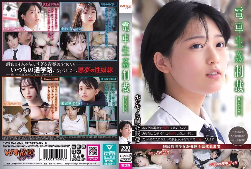YDNS-003 การลงโทษทางเพศบนรถไฟ #003