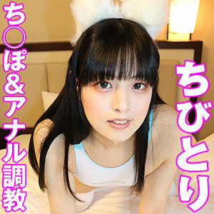 SACZ-239 ชิบิโทริ 8