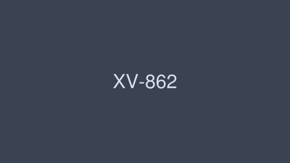 XV-862 MAX GIRLS 31 สาวเด็ดคับแก้ว