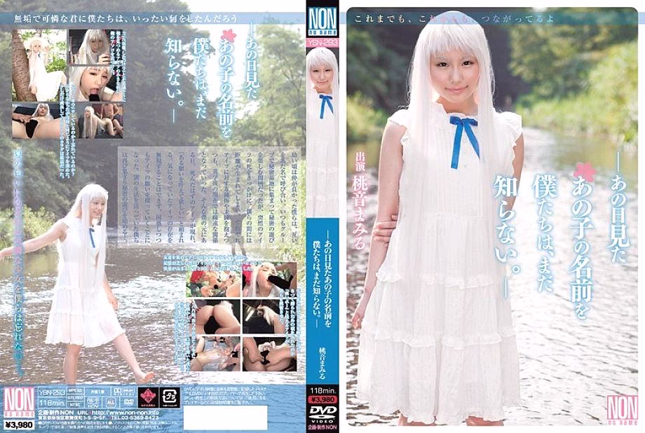 YSN-293 หญิงสาวลึกลับที่เห็นวันนั้น Mamiru Momone