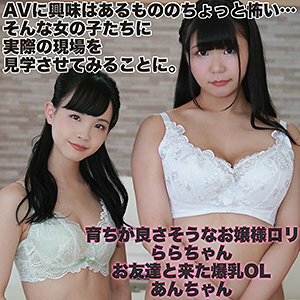 LADY-440 ลาร่า แอนด์ แอนน์